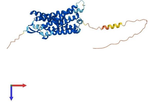 LPAR5 Protein (AA 1-372) (His tag)