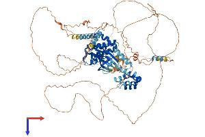 NEK4 Protein (AA 1-841) (His tag)