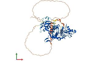 Protein Structure (PS) image for Nemo-Like Kinase (NLK) (AA 1-527) protein (His tag) (ABIN7562452)