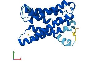 Protein Structure (PS) image for KDEL (Lys-Asp-Glu-Leu) Endoplasmic Reticulum Protein Retention Receptor 3 (kDELR3) (AA 1-214) protein (His tag) (ABIN7559673)