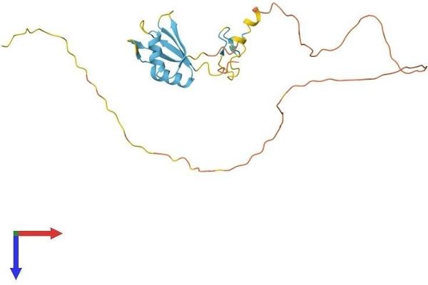 SFRS7 Protein (AA 1-238) (His tag)