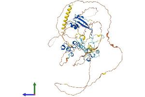 AlphaFold protein structure predicition of Mouse Recombinant Mbd1 Protein, UniprotID Q9Z2E2 (MBD1 Protein (AA 1-636) (His tag))