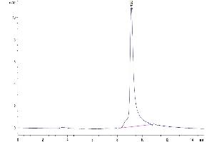 Size-exclusion chromatography-High Pressure Liquid Chromatography (SEC-HPLC) image for S100 Calcium Binding Protein A9 (S100A9) (AA 2-114) protein (His tag) (ABIN7275543)