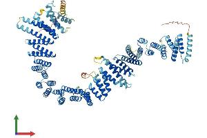 Protein Structure (PS) image for Testis Expressed 11 (TEX11) (AA 1-940) protein (His tag) (ABIN7555729)