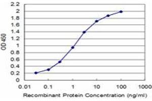 Detection limit for recombinant GST tagged SSX2 is approximately 0.