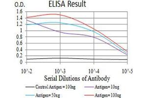 Black line: Control Antigen (100 ng);Purple line: Antigen (10ng); Blue line: Antigen (50 ng); Red line:Antigen (100 ng) (LSD1 Antikörper  (AA 55-263))