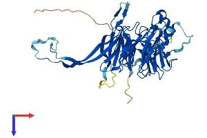 PPP2R2C Protein (AA 1-447) (His tag)