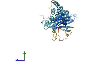 AlphaFold protein structure predicition of Mouse Recombinant Trim43a Protein, UniprotID Q3TL54