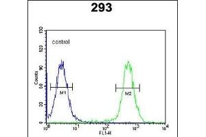 CSGALNACT2 Antibody (Center) (ABIN652723 and ABIN2842479) flow cytometric analysis of 293 cells (right histogram) compared to a negative control cell (left histogram). (CSGALNACT2 Antikörper  (AA 200-229))