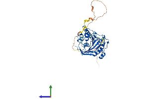 Protein Structure (PS) image for UDP-Gal:betaGlcNAc beta 1,4 Galactosyltransferase, Polypeptide 1 (B4GALT1) (AA 1-398) protein (His tag) (ABIN7552549)