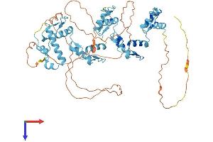 ZNF324 Protein (AA 1-553) (His tag)