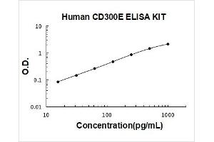 CD300e Molecule (CD300E) ELISA Kit