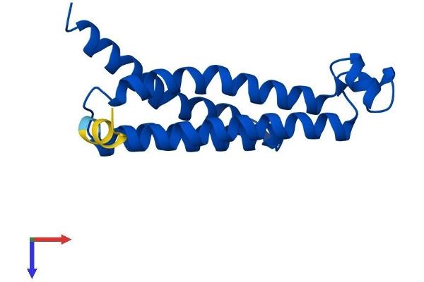 Prostaglandin E Synthase Protein (PTGES) (AA 1-152) (His tag)