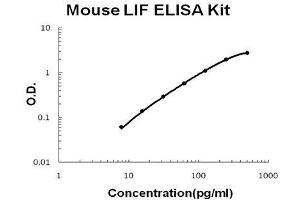 Mouse LIF PicoKine ELISA Kit standard curve (LIF ELISA Kit)