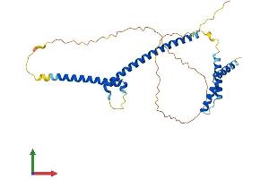 Protein Structure (PS) image for MAX-Like Protein X (MLX) (AA 1-298) protein (His tag) (ABIN7562180)