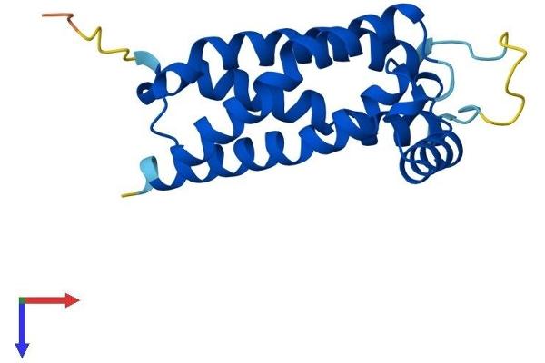TMEM97 Protein (AA 1-176) (His tag)