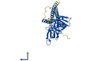 Protein Structure (PS) image for Coiled-Coil Domain Containing 101 (CCDC101) (AA 1-293) protein (His tag) (ABIN7546036)