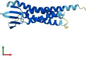 Protein Structure (PS) image for Lens Intrinsic Membrane Protein 2, 19kDa (LIM2) (AA 1-173) protein (His tag) (ABIN7556483)