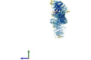 Protein Structure (PS) image for Maestro Heat-Like Repeat Family Member 2B (MROH2B) (AA 1-1581) protein (His tag) (ABIN7564184)