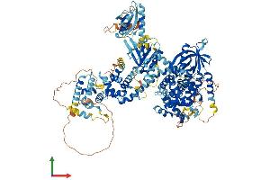Protein Structure (PS) image for TBC1 Domain Family, Member 8 (With GRAM Domain) (TBC1D8) (AA 1-1134) protein (His tag) (ABIN7565273)