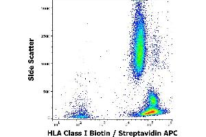 Flow cytometry surface staining pattern of human peripheral whole blood stained using anti-human HLA Class I (W6/32) Biotin antibody (concentration in sample 4 μg/mL, Streptavidin APC). (MICA Antikörper  (Biotin))
