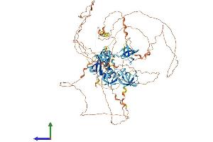 Protein Structure (PS) image for SH3 and PX Domains 2B (SH3PXD2B) (AA 1-911) protein (His tag) (ABIN7555624)
