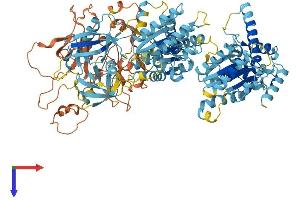 PEX6 Protein (AA 1-980) (His tag)