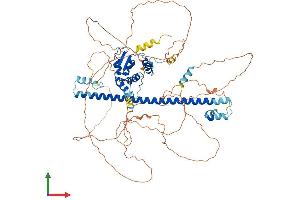Protein Structure (PS) image for BTB and CNC Homology 1, Basic Leucine Zipper Transcription Factor 1 (BACH1) (AA 1-739) protein (His tag) (ABIN7556776)