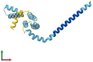 Protein Structure (PS) image for Receptor Accessory Protein 5 (REEP5) (AA 1-185) protein (His tag) (ABIN7557631)