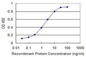 ELISA image for anti-conserved Helix-Loop-Helix Ubiquitous Kinase (CHUK) (AA 646-745) antibody (ABIN560378)