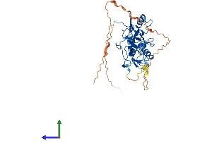 Protein Structure (PS) image for PHD Finger Protein 7 (PHF7) (AA 1-381) protein (His tag) (ABIN7550752)