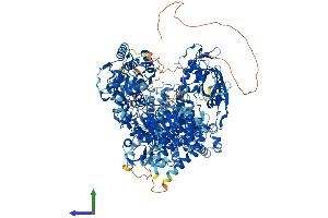 AlphaFold protein structure predicition of Mouse Recombinant Aqr Protein, UniprotID Q8CFQ3