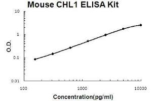 ELISA image for Cell Adhesion Molecule with Homology To L1CAM (Close Homolog of L1) (CHL1) ELISA Kit (ABIN5510734)