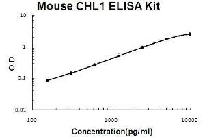 Mouse CHL1/L1CAM-2 PicoKine ELISA Kit standard curve (CHL1 ELISA Kit)