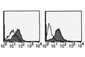 Flow Cytometry (FACS) image for anti-Alanyl (Membrane) Aminopeptidase (ANPEP) antibody (ABIN1449277) (CD13 Antikörper)