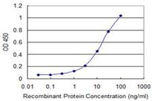 Detection limit for recombinant GST tagged TNIK is 0. (TNIK Antikörper  (AA 1-110))