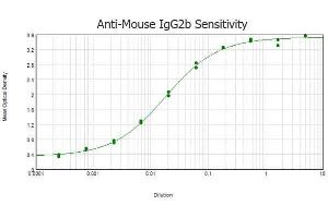ELISA results of purified Rabbit anti-Mouse IgG2b (Gamma 2B Chain) antibody tested against purified Mouse IgG2b.