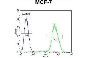 Flow cytometric analysis of MCF-7 cells using LMO4 Antibody (Center) Cat. (LMO4 Antikörper  (Middle Region))