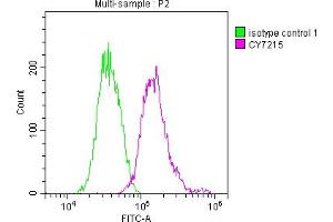 Overlay histogram showing Jurkat cells stained with ABIN7127335 (red line) at 1:50. (Rekombinanter ALIX Antikörper)