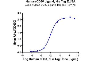 ELISA image for Tumor Necrosis Factor (Ligand) Superfamily, Member 8 (TNFSF8) (AA 63-234) protein (His tag) (ABIN7274138)