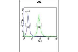Flow cytometric analysis of 293 cells using KM2 Antibody (N-term) Cat. (PKM2 Antikörper  (N-Term))