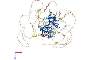 AlphaFold protein structure predicition of Mouse Recombinant Sik2 Protein, UniprotID Q8CFH6 (SIK2 Protein (AA 1-931) (His tag))
