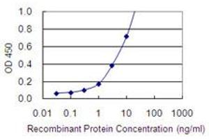 ELISA image for anti-Small Nuclear RNA Activating Complex, Polypeptide 2, 45kDa (SNAPC2) (AA 16-114) antibody (ABIN562930)