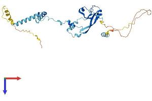 FRA10AC1 Protein (AA 1-315) (His tag)