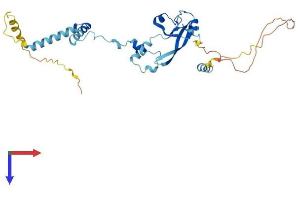 FRA10AC1 Protein (AA 1-315) (His tag)