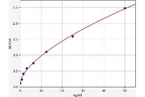 SLC26A4 ELISA Kit