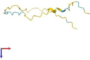 NREP Protein (AA 1-68) (Fc Tag)