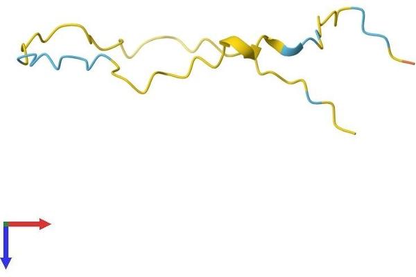 NREP Protein (AA 1-68) (Fc Tag)