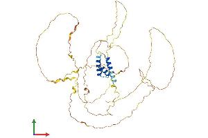 Protein Structure (PS) image for Iroquois Homeobox Protein 2 (IRX2) (AA 1-471) protein (His tag) (ABIN7548634)