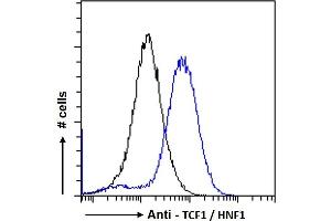 ABIN334504 Flow cytometric analysis of paraformaldehyde fixed HepG2 cells (blue line), permeabilized with 0. (HNF1A Antikörper  (Internal Region))